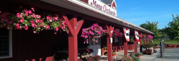 visit-our-location-mann-orchards