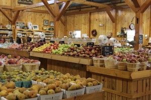 farm-store-mann-orchards