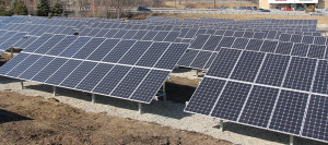mann-orchards-solar-panels