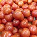 tomatoes-mann-orchards